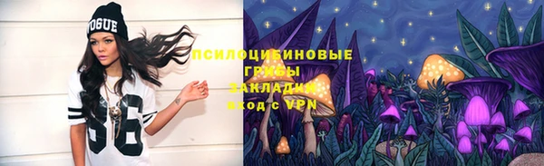 эйфоретик Краснослободск