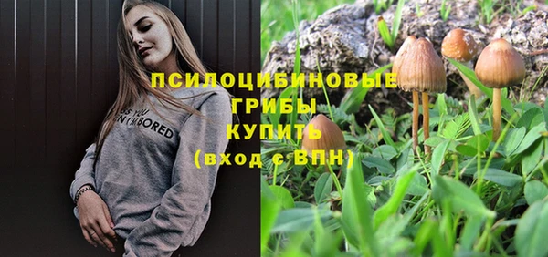 эйфоретик Краснослободск