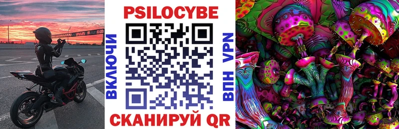 где можно купить   Свирск  Псилоцибиновые грибы мицелий 